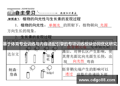基于体育专业训练与内容适配引擎的专项训练模块协同优化研究
