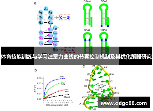 体育技能训练与学习注意力曲线的节奏控制机制及其优化策略研究